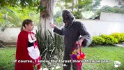 Little Red Riding Hood lost a fruit from her basket and is looking for it in the wolf's pants.