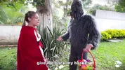 Little Red Riding Hood lost a fruit from her basket and is looking for it in the wolf's pants.