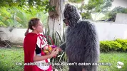 Little Red Riding Hood lost a fruit from her basket and is looking for it in the wolf's pants.