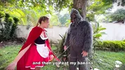 Little Red Riding Hood lost a fruit from her basket and is looking for it in the wolf's pants.