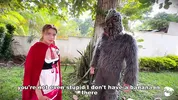 Little Red Riding Hood lost a fruit from her basket and is looking for it in the wolf's pants.