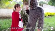 Little Red Riding Hood lost a fruit from her basket and is looking for it in the wolf's pants.