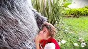 Little Red Riding Hood lost a fruit from her basket and is looking for it in the wolf's pants.