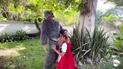 Little Red Riding Hood lost a fruit from her basket and is looking for it in the wolf's pants.