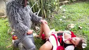 Little Red Riding Hood lost a fruit from her basket and is looking for it in the wolf's pants.