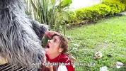 Little Red Riding Hood lost a fruit from her basket and is looking for it in the wolf's pants.