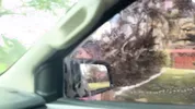 I fuck a sexy Colombian Teen who wanted to wash my car!